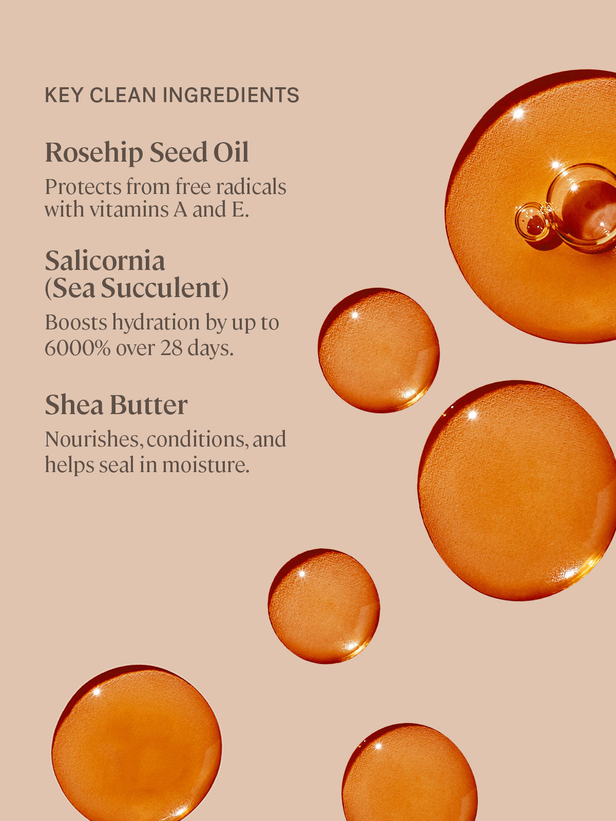 WEB_BT_Ingredients.jpg